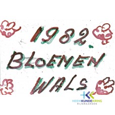 Carnaval 1982. Coll. F.Janssen (1)